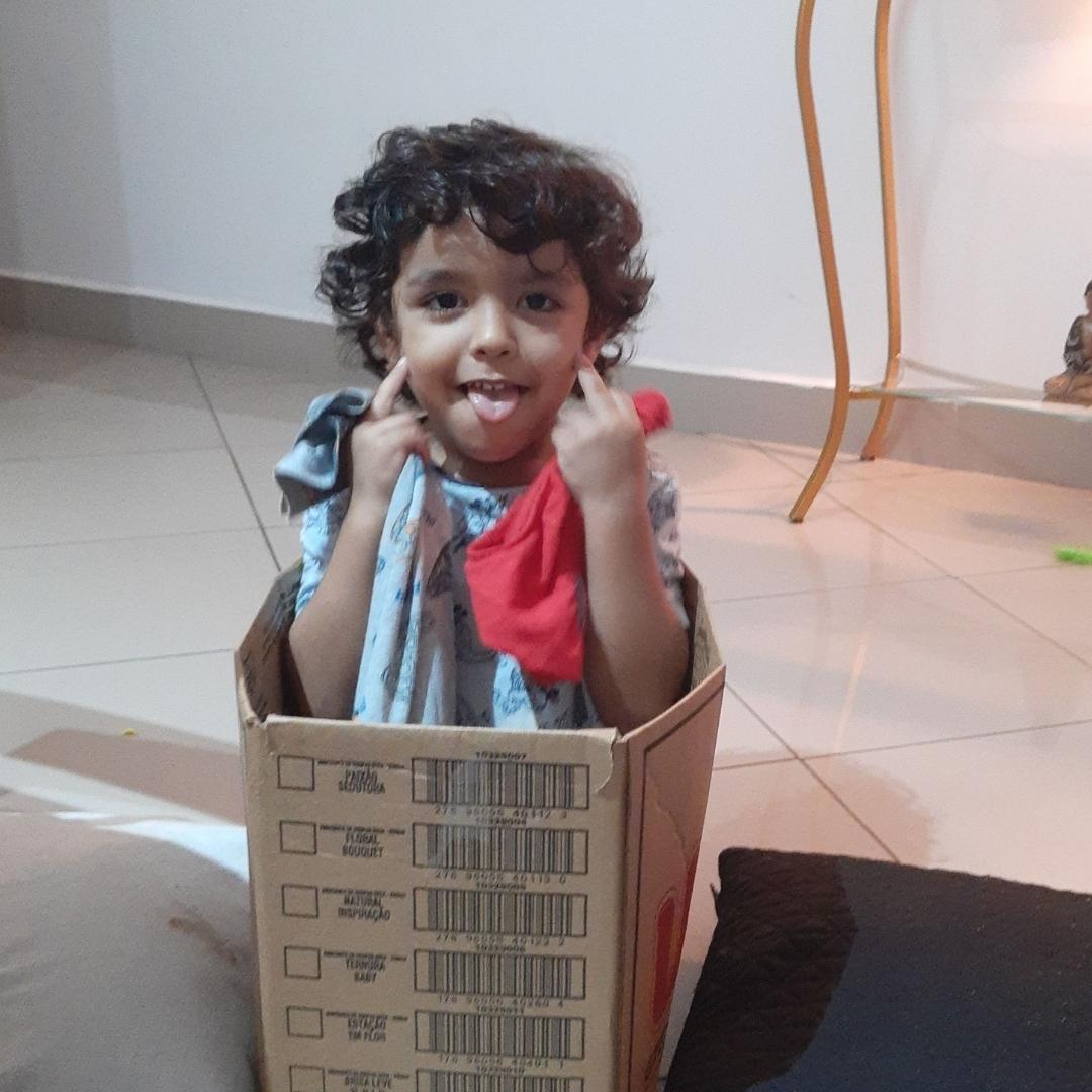 A criança e o Brinçar em Terapia